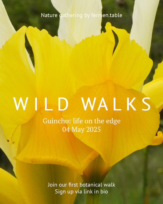 Wild Walks #1 - Guincho: life on the edge