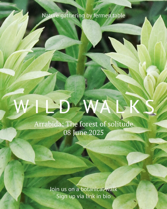 Wild Walks #2 - Arrabida: The forest of solitude